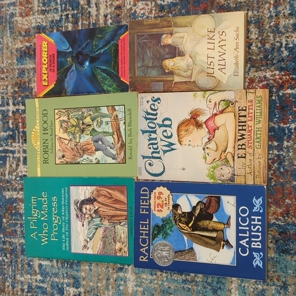 Multi-Titles Children's Literature Pack of 6 Paperback Novels - Used - Picture 1 of 12